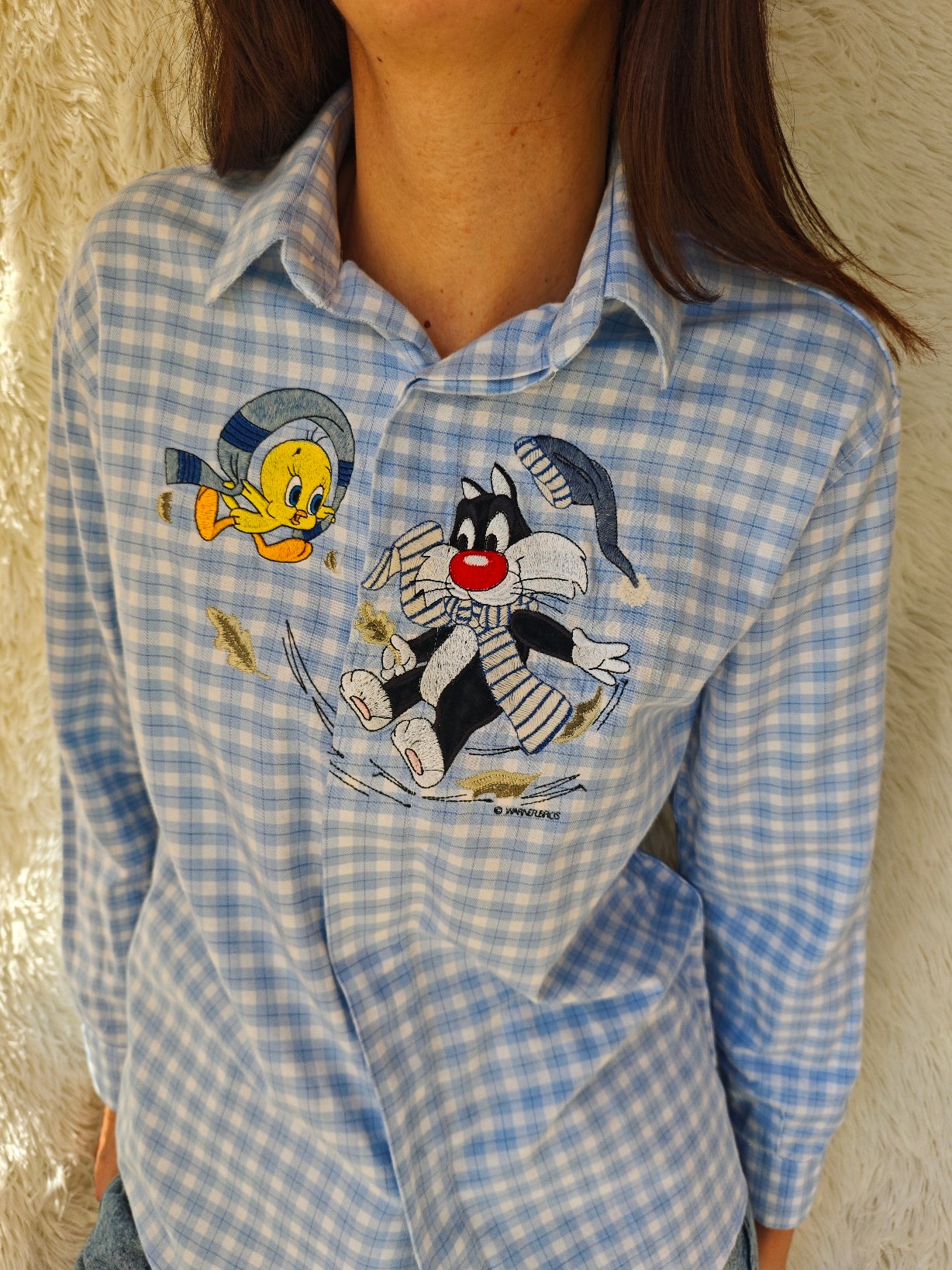 Camicia Titti e Silvestro