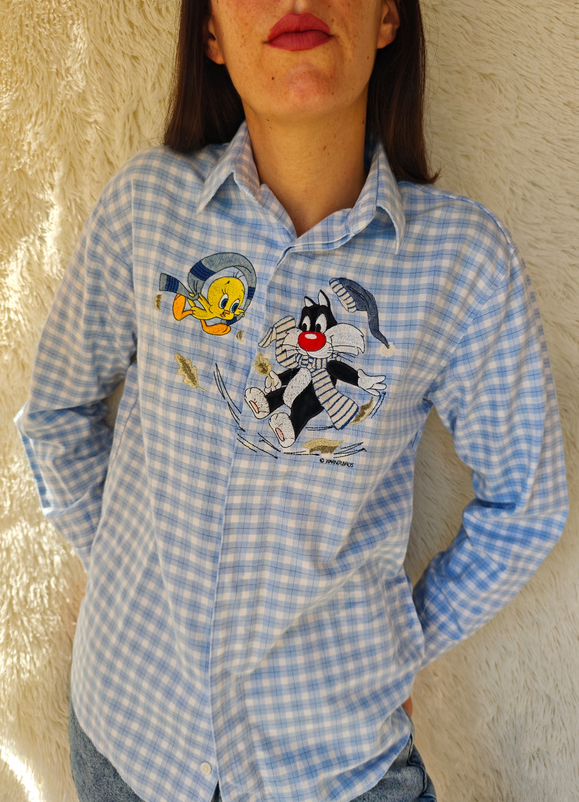 Camicia Titti e Silvestro