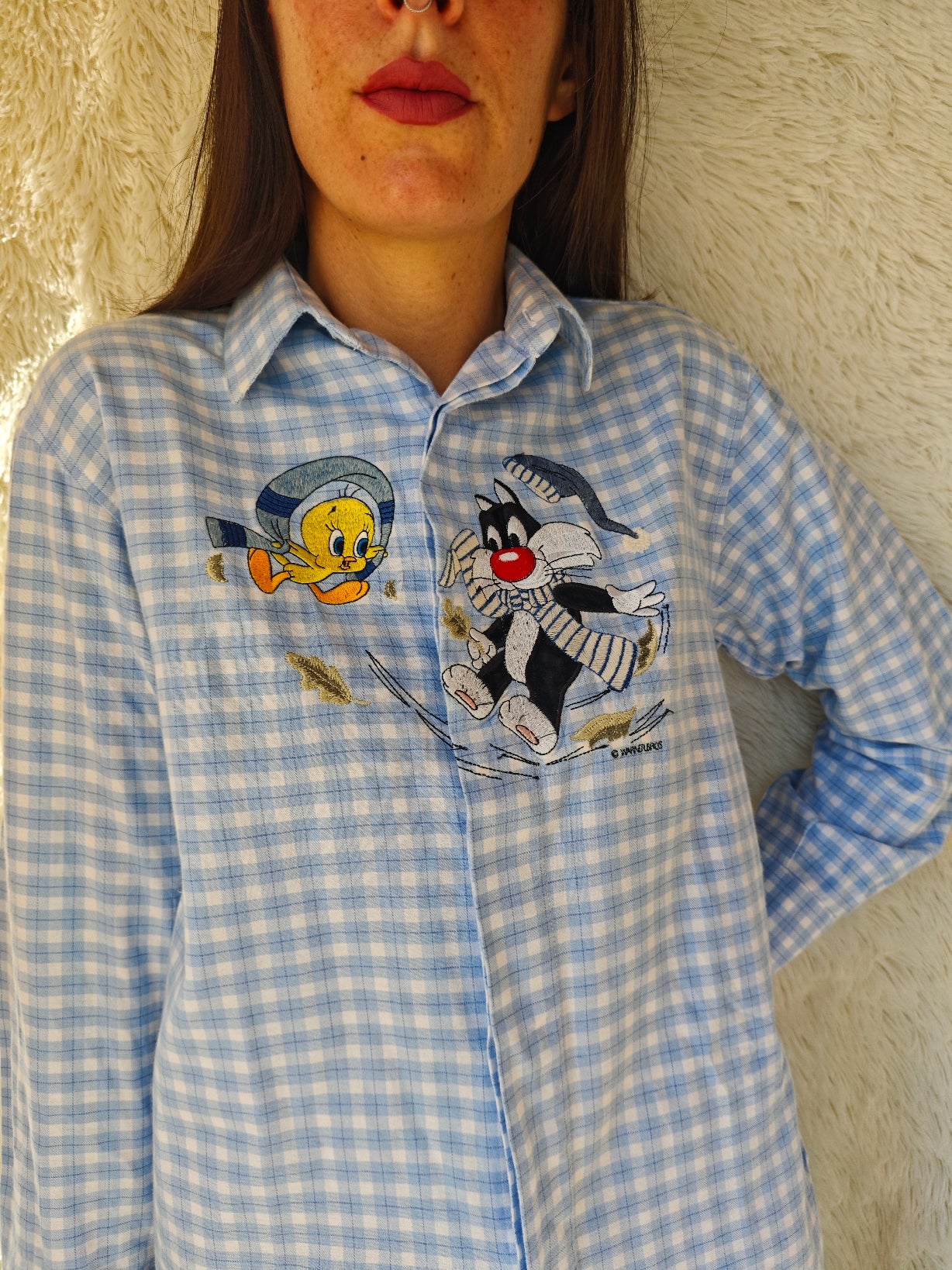 Camicia Titti e Silvestro