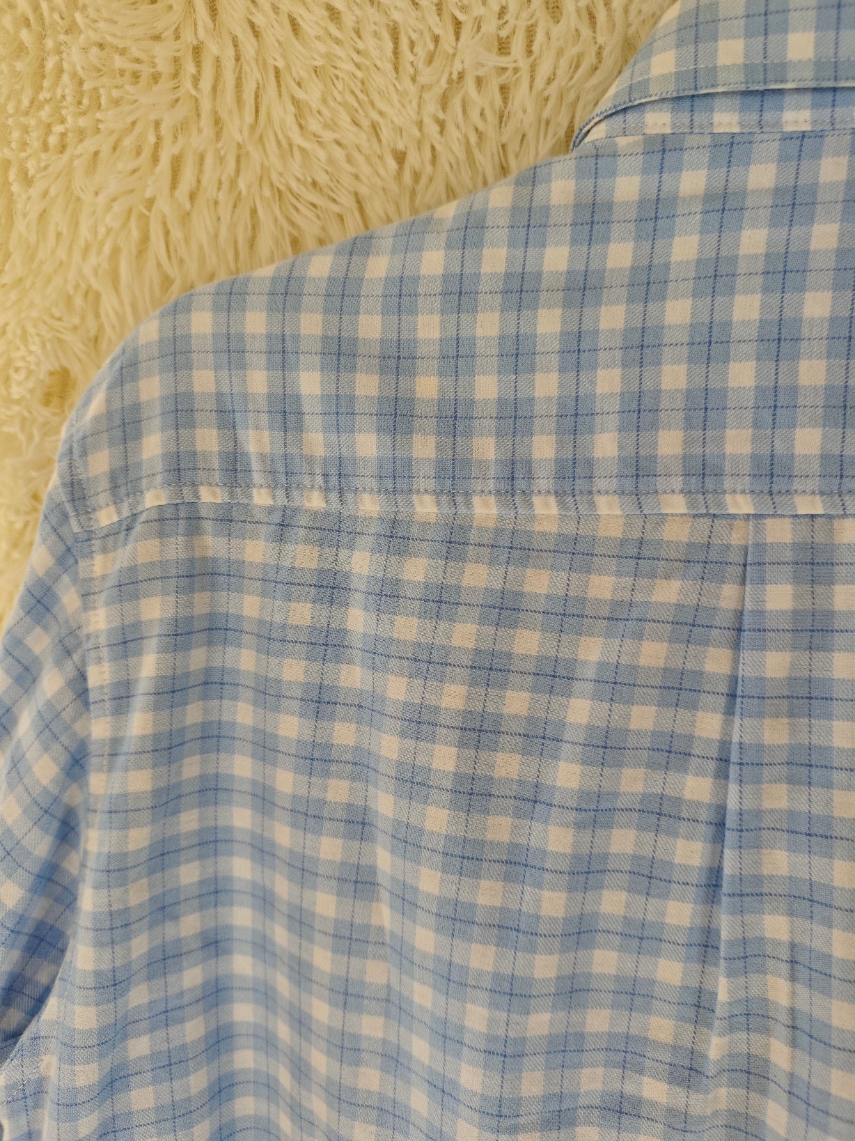 Camicia Titti e Silvestro