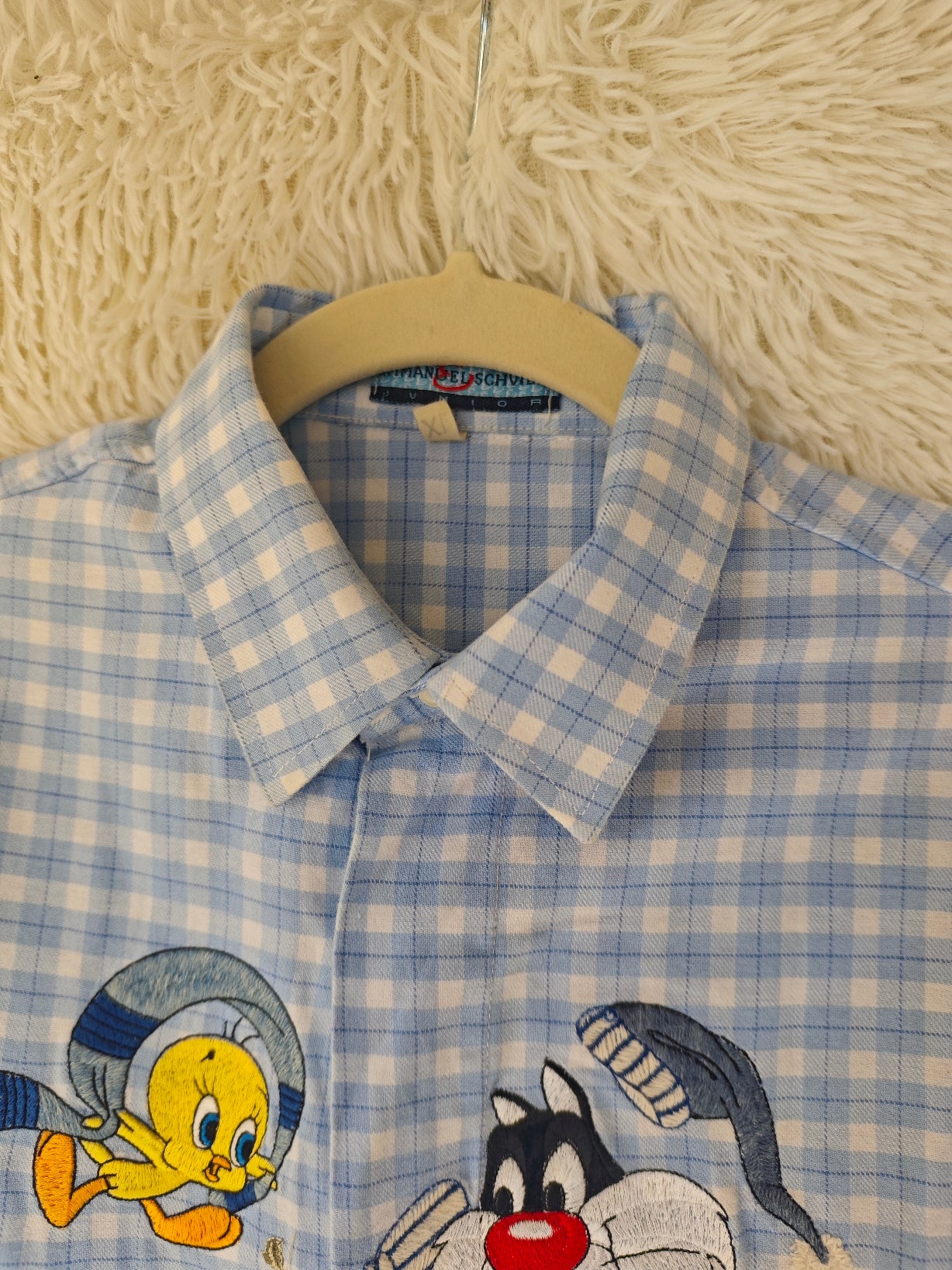Camicia Titti e Silvestro