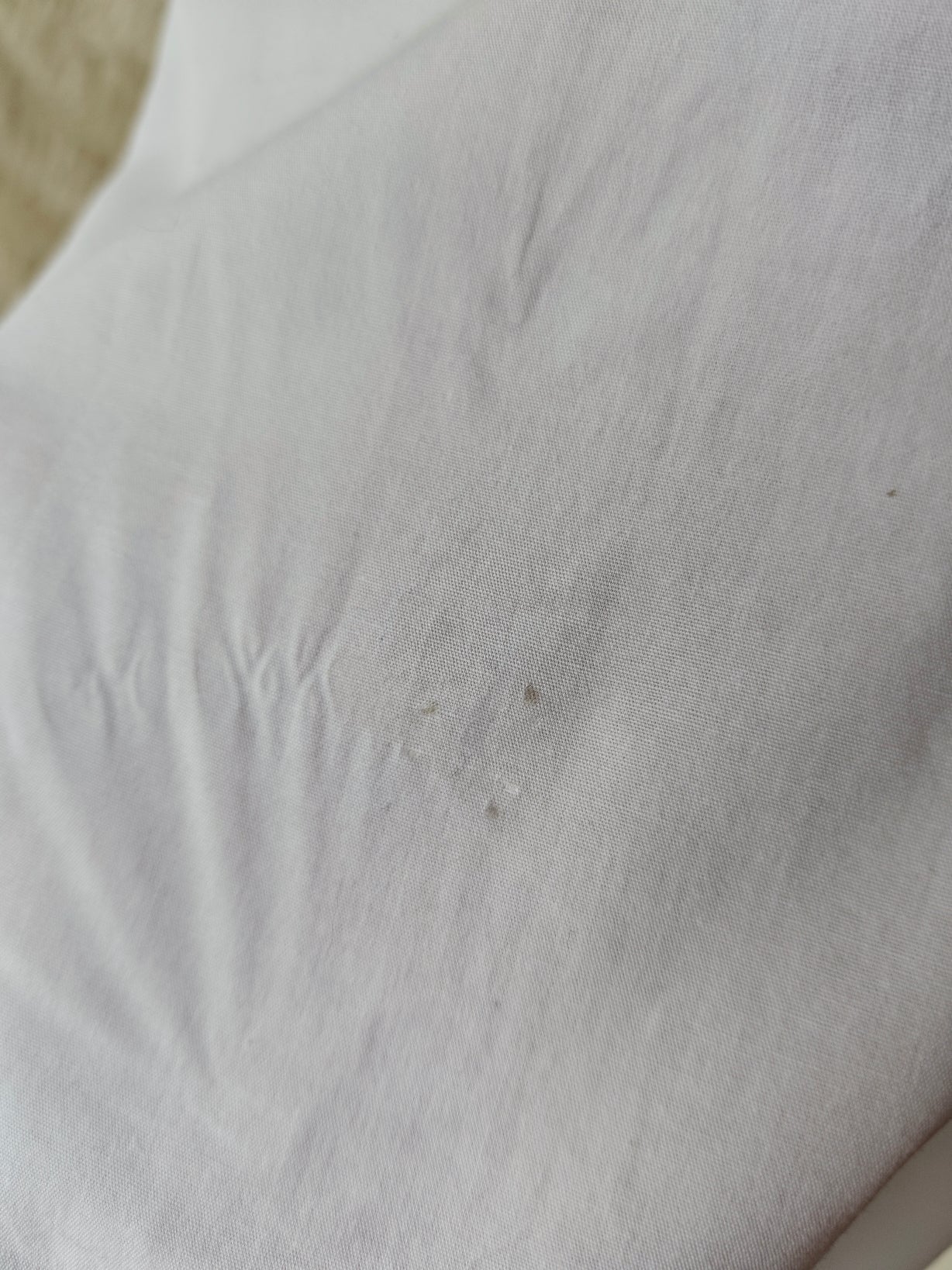 Camicia bugs & Lola bunny in love