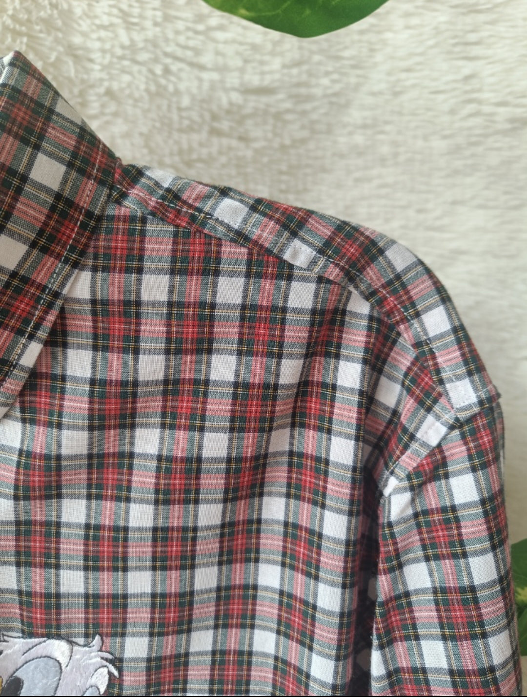 Camicia a quadri con ricamo Donald & Daisy in cotone