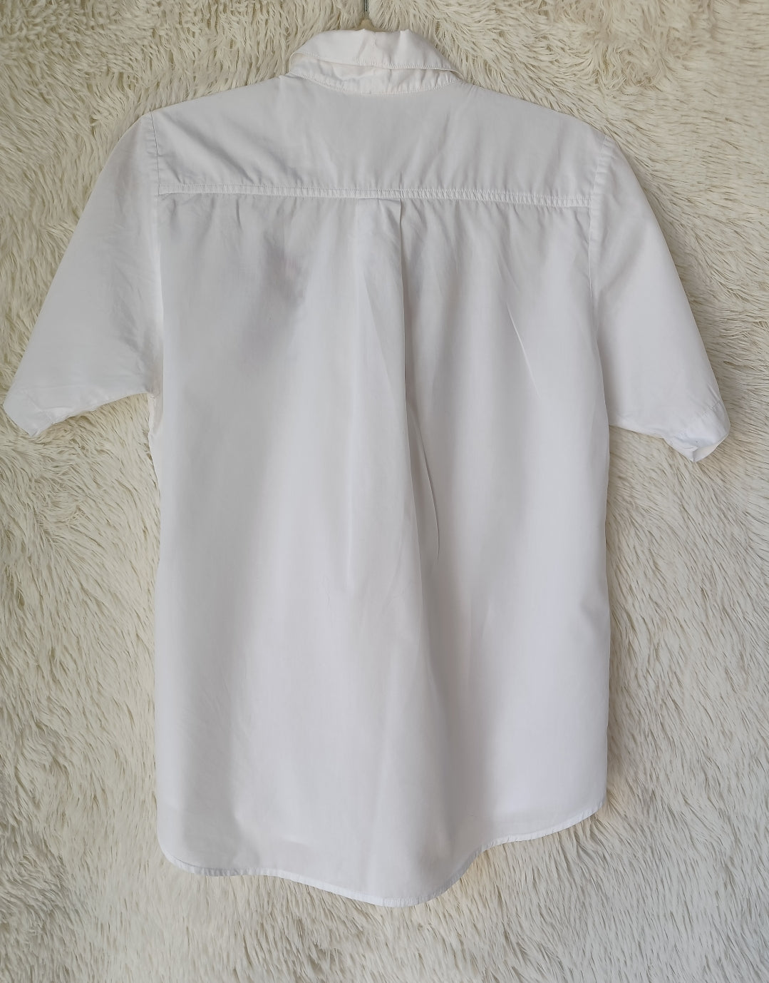 Camicia titti Silvestro