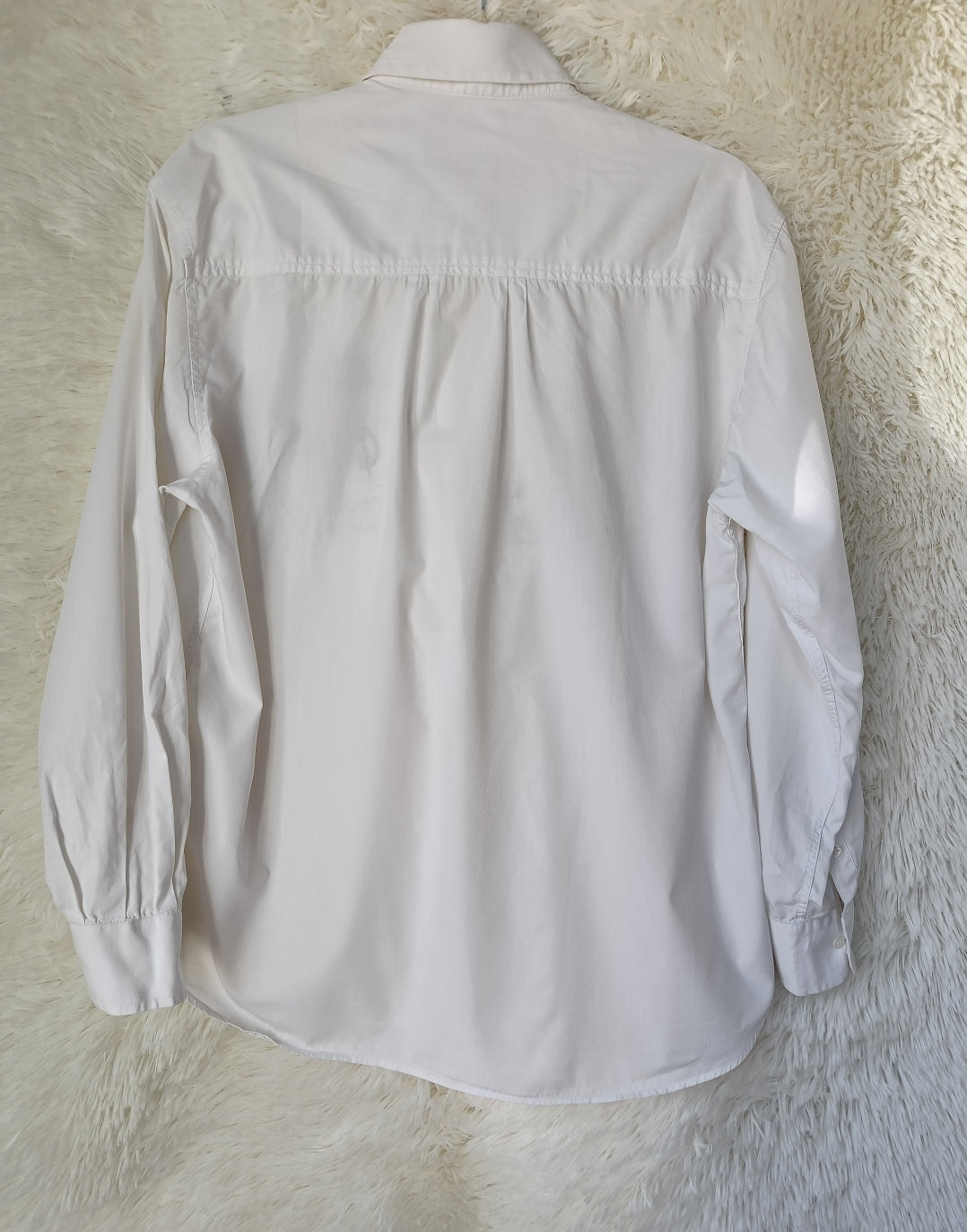 Camicia Titti e Silvestro in Stile Hawaii