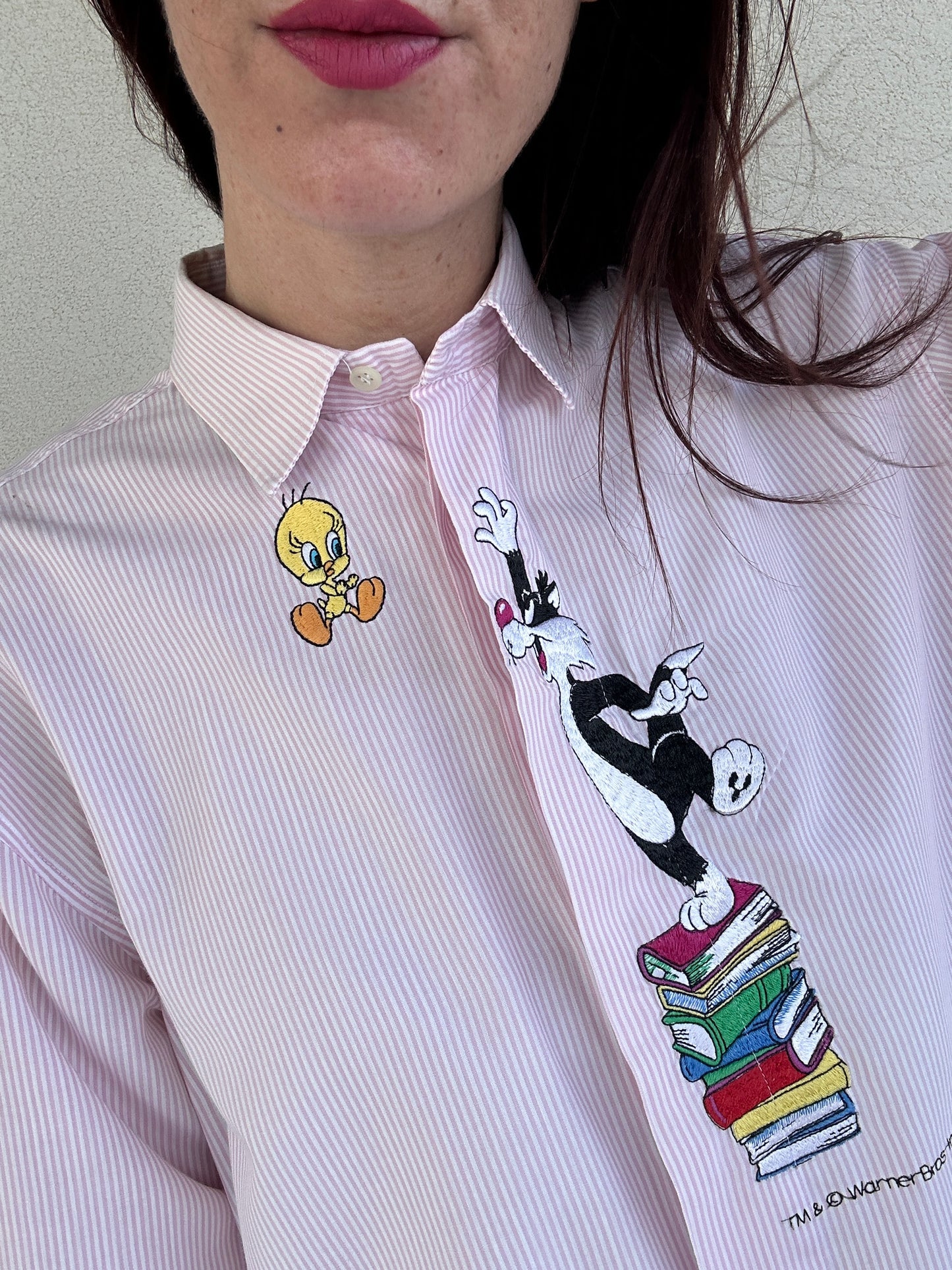 Camicia vichy Titti e Silvestro