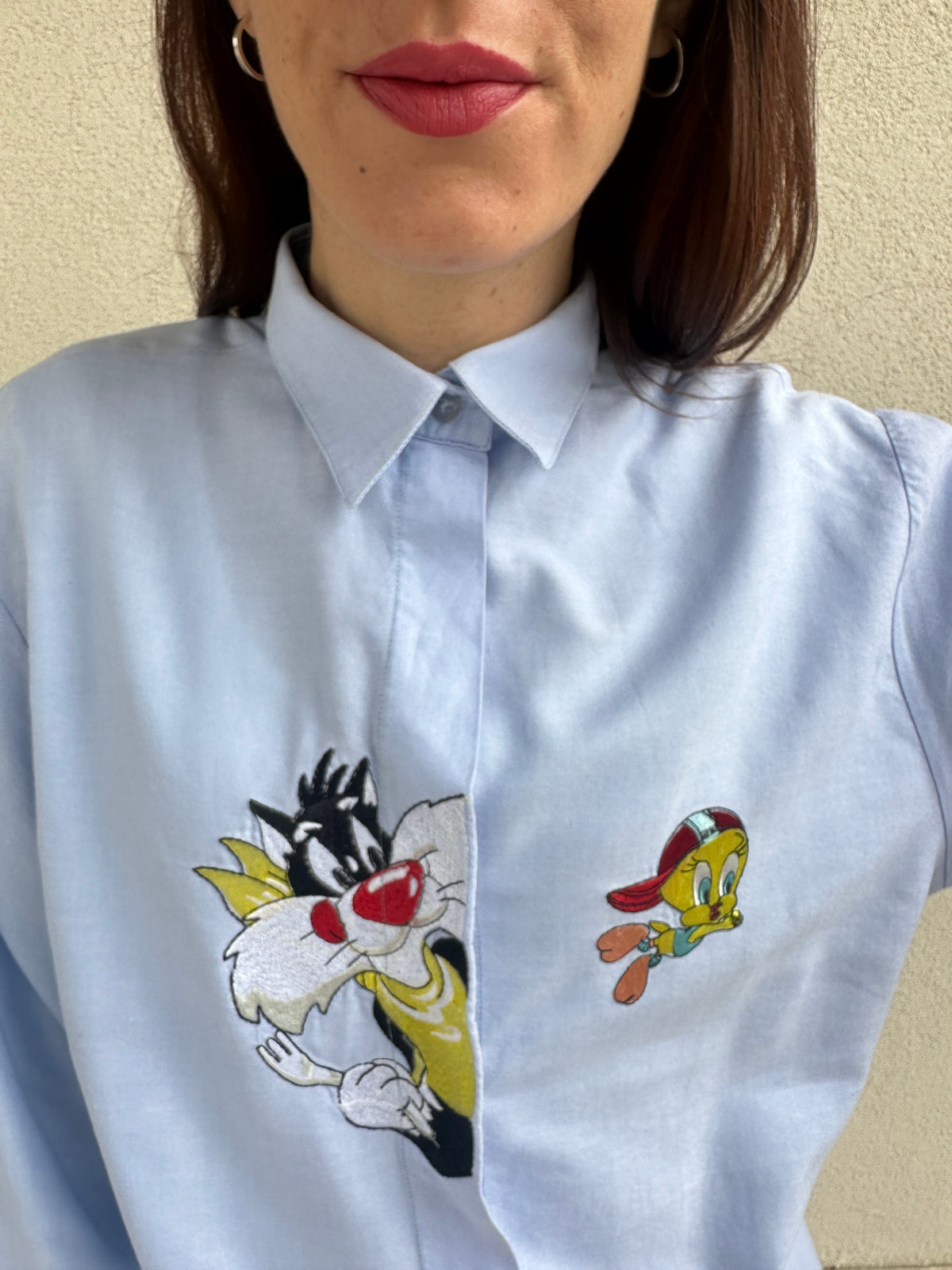 Camicia Silvestro e Titti