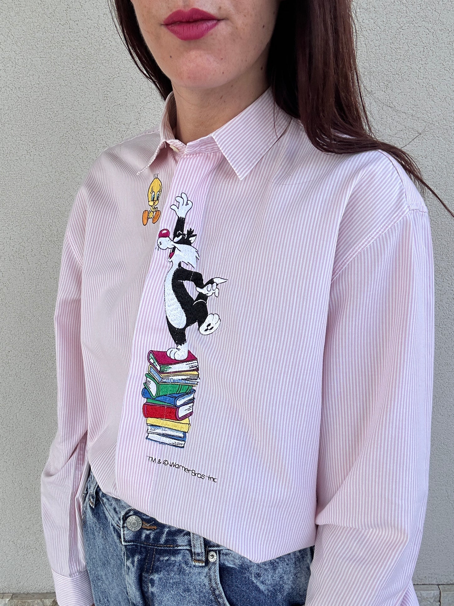 Camicia vichy Titti e Silvestro