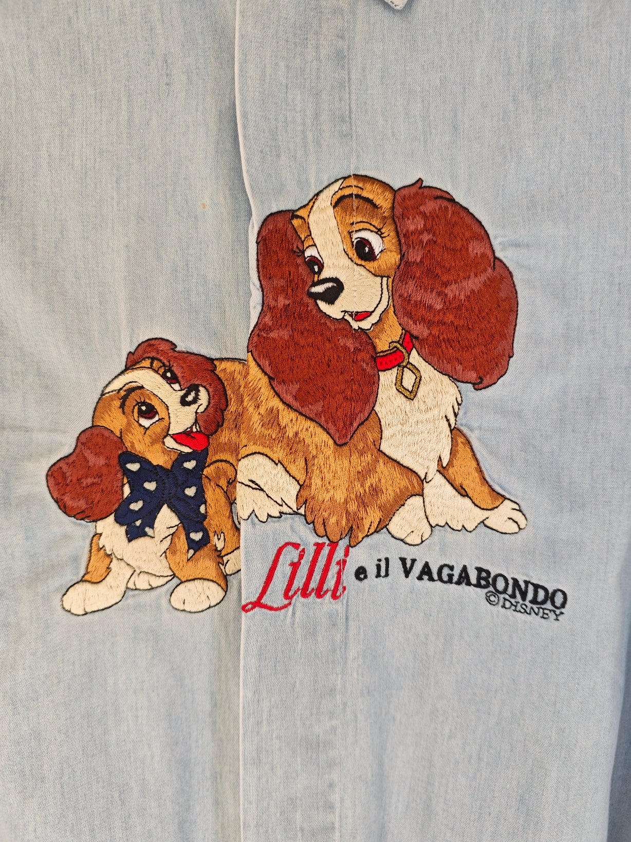 Camicia Lilly e Scamp