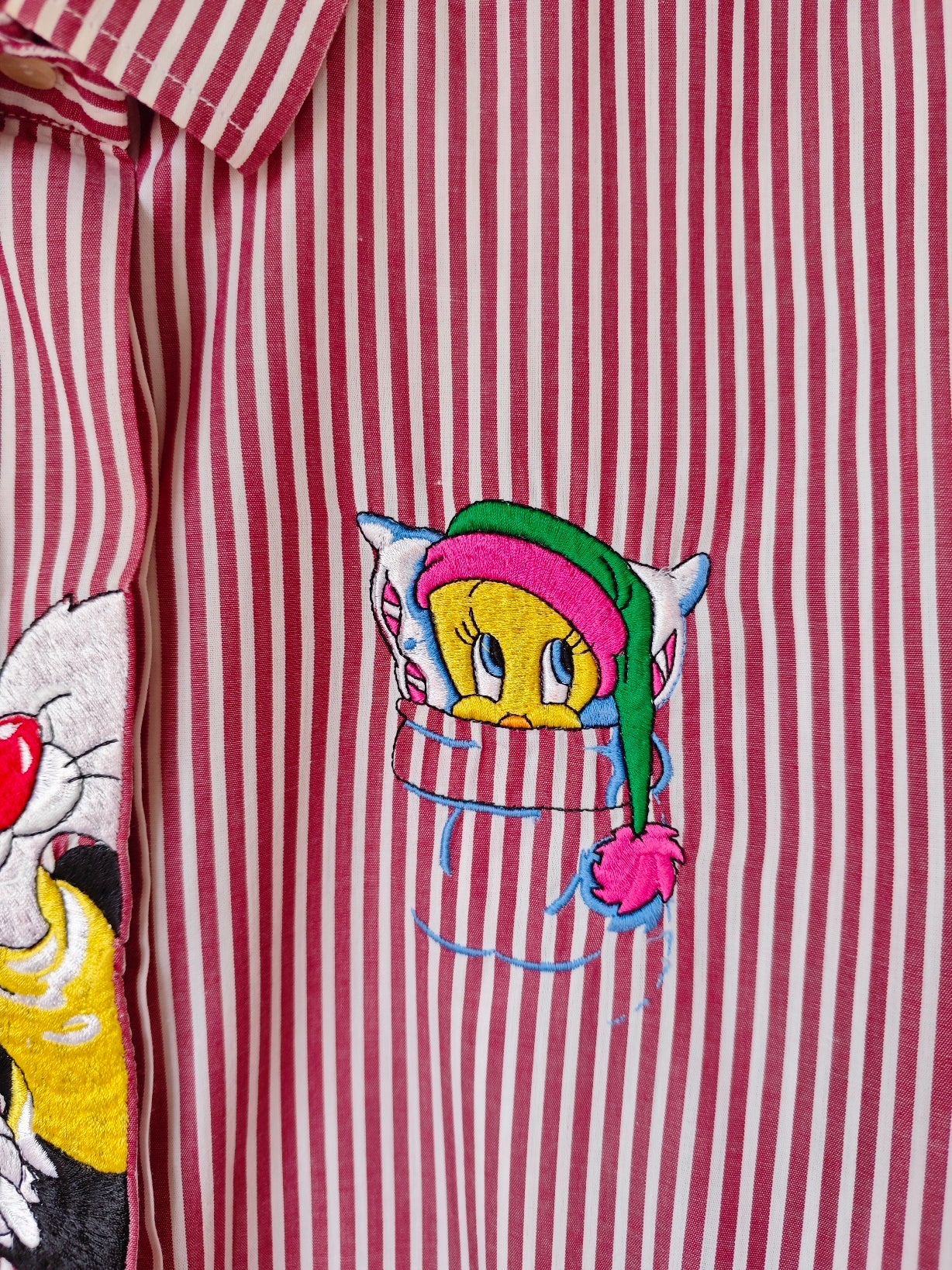 Camicia a righe Titti e Silvestro