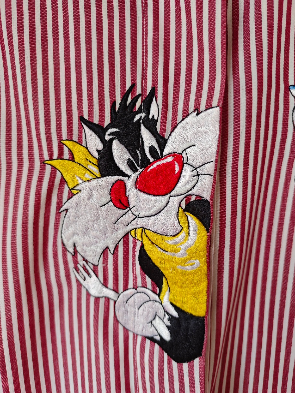 Camicia a righe Titti e Silvestro