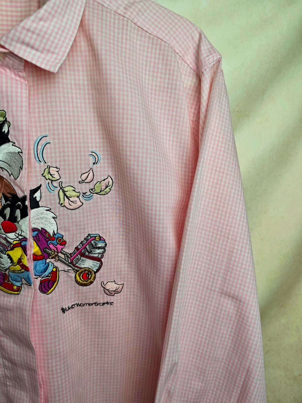 Camicia Titti e Silvestro Back to school