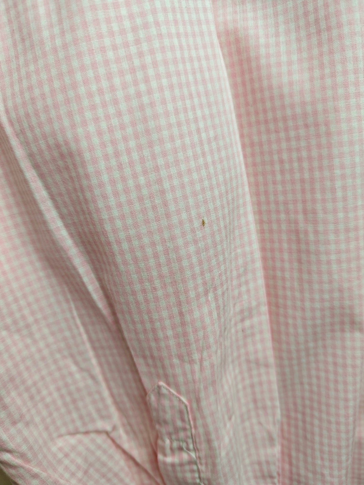 Camicia Titti e Silvestro Back to school