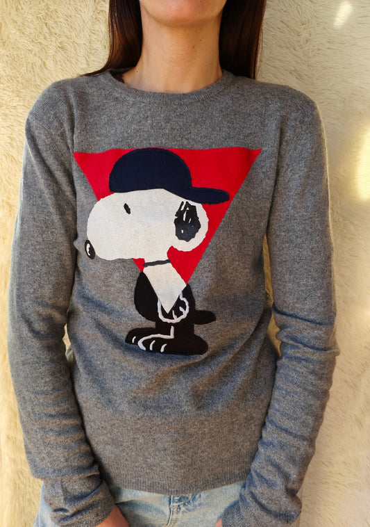 Pull Snoopy iceberg