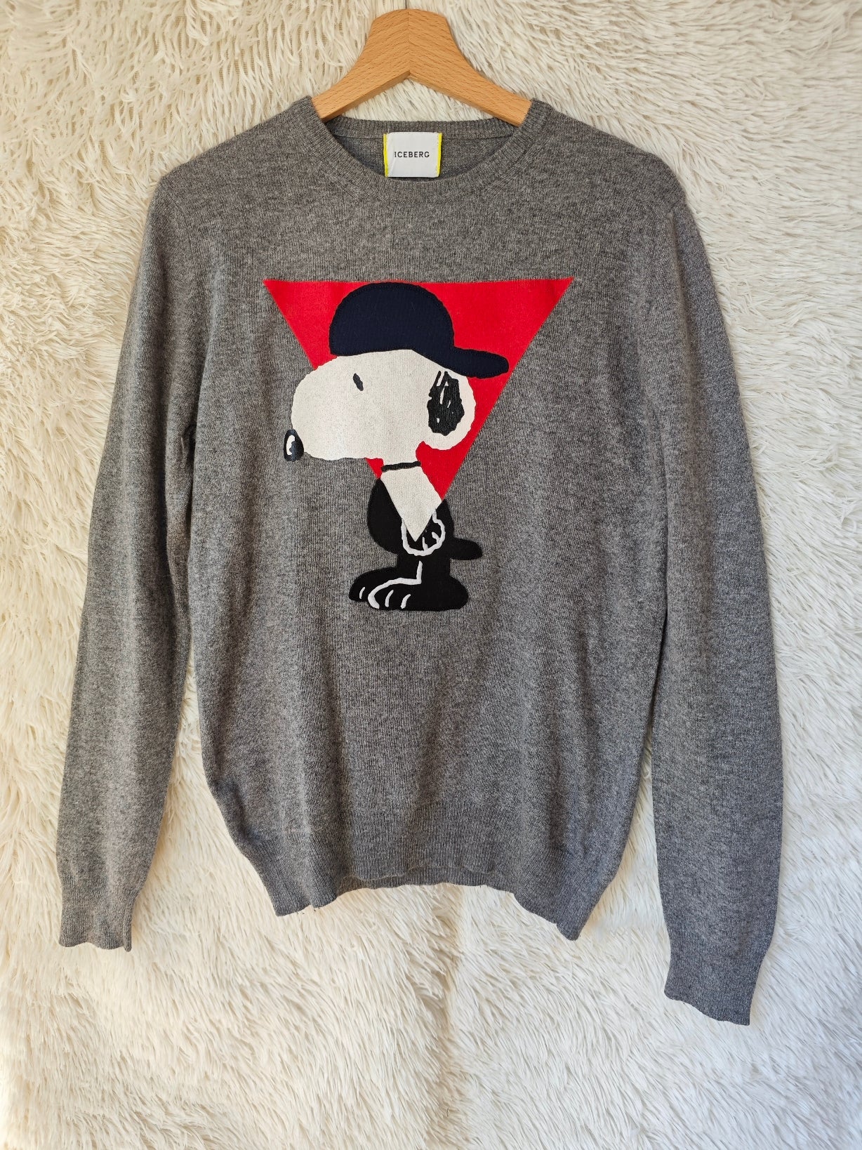 Pull Snoopy iceberg