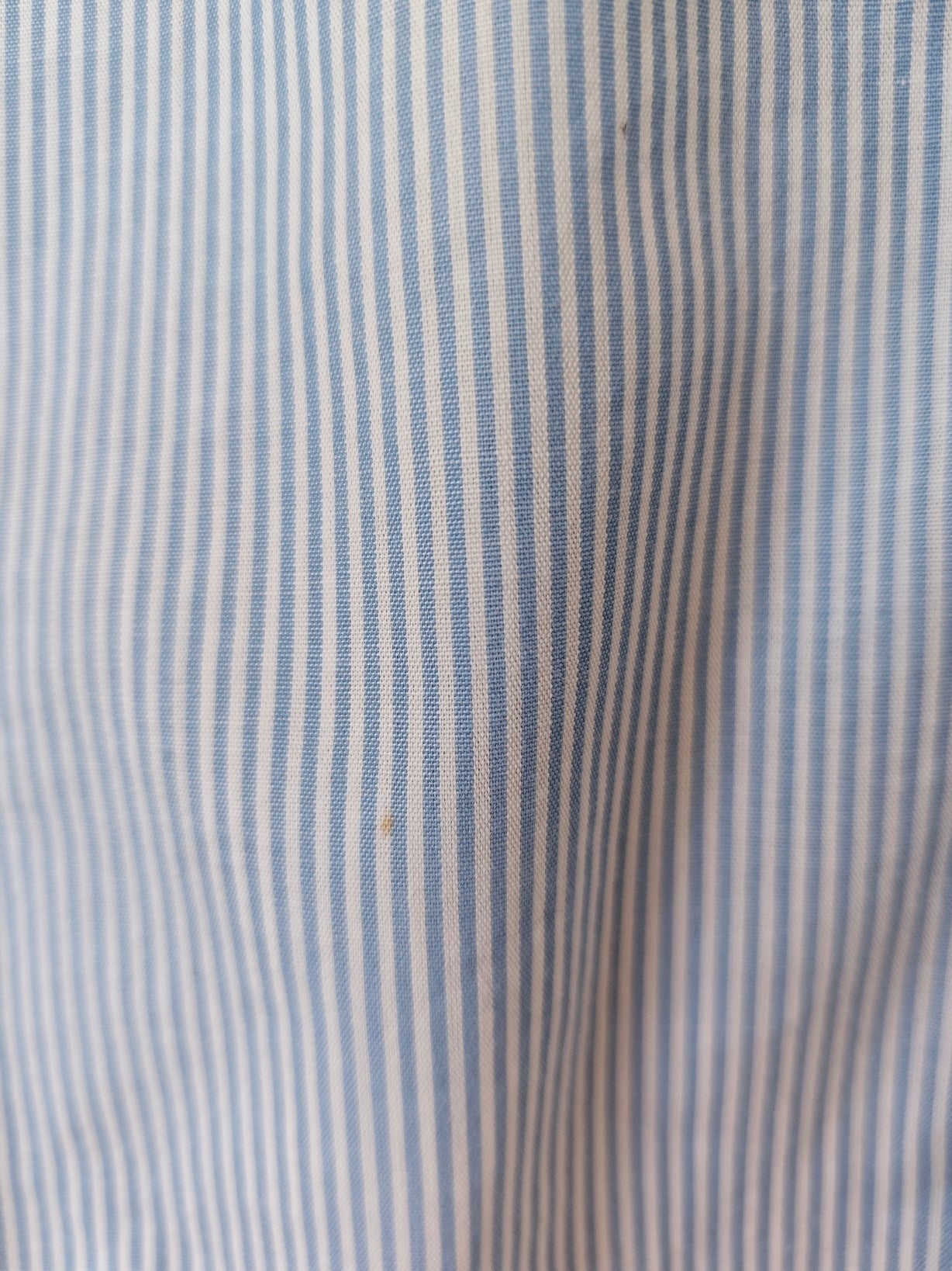 Camicia Tom & Jerry marina