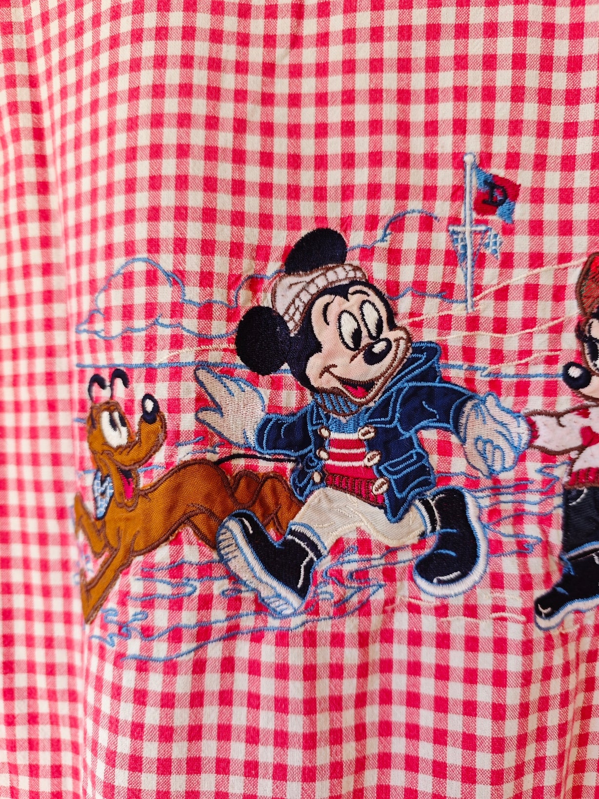 Camicia Vichy Disney