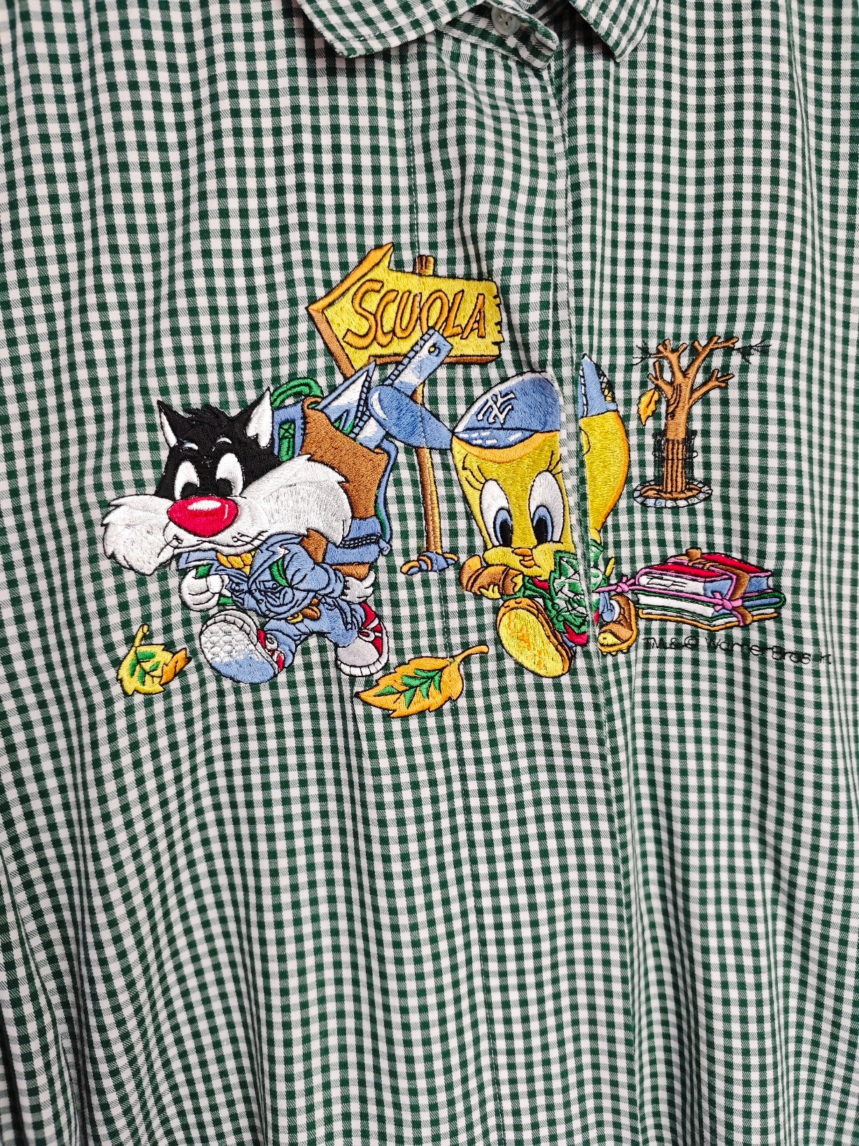 Camicia Titti e Silvestro Back to school verde