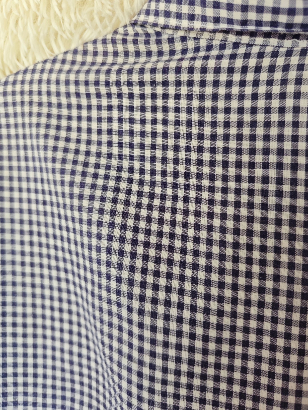 Camicia Vichy Lilli e il vagabondo