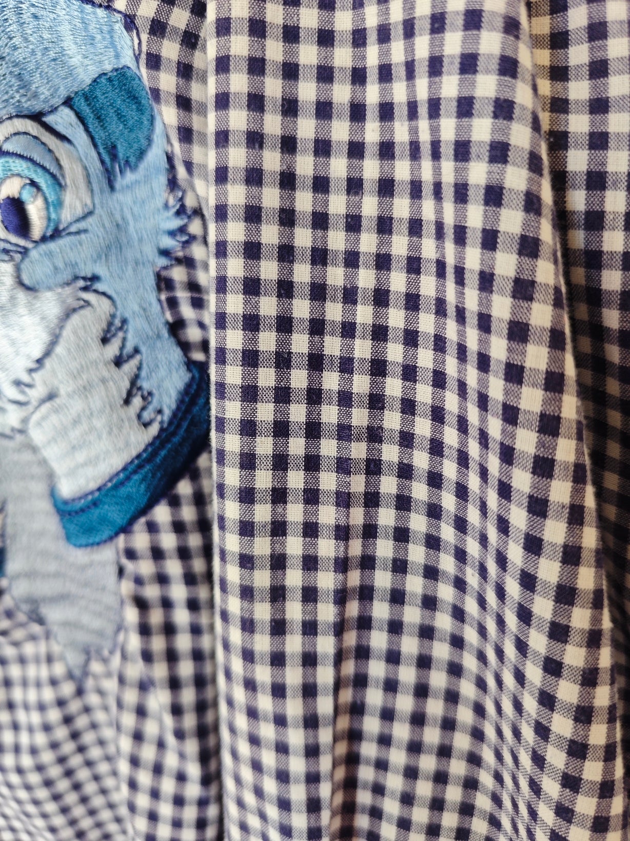 Camicia Vichy Lilli e il vagabondo