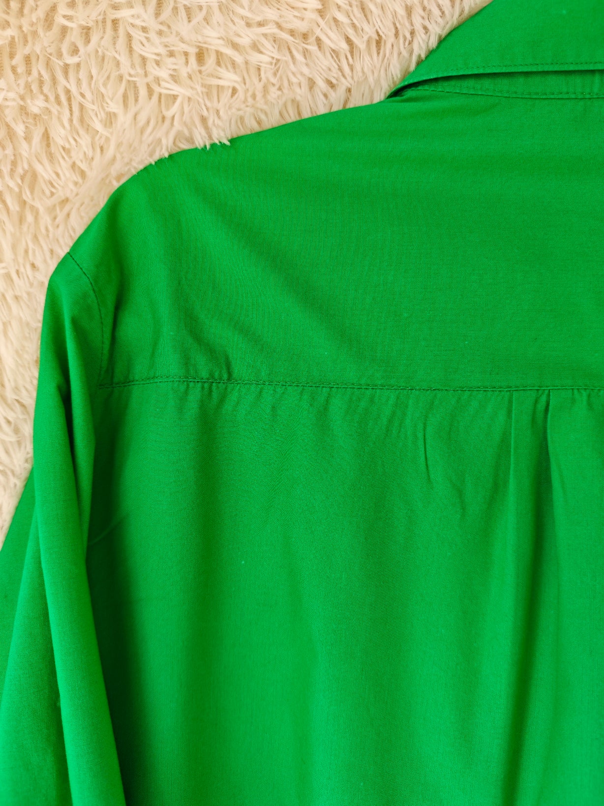 Camicia Tom & Jerry fotografo verde