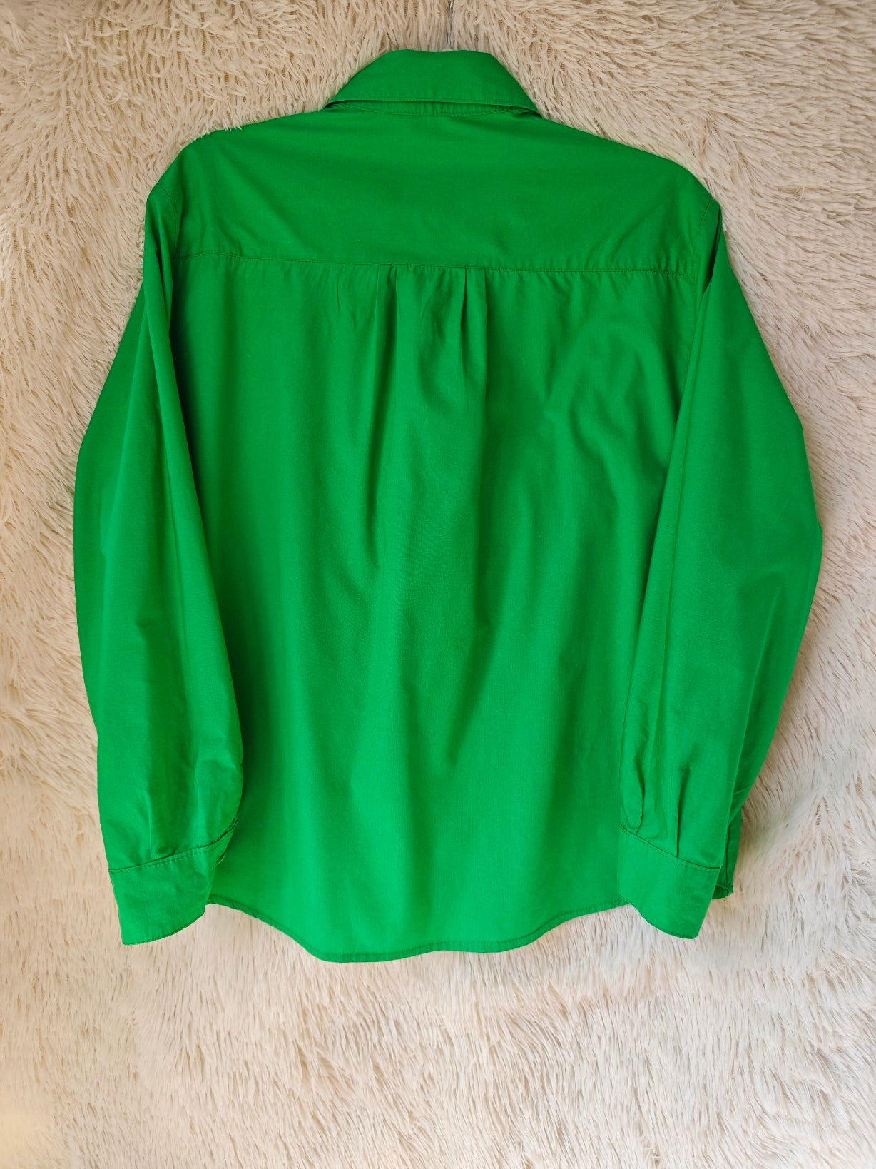 Camicia Tom & Jerry fotografo verde