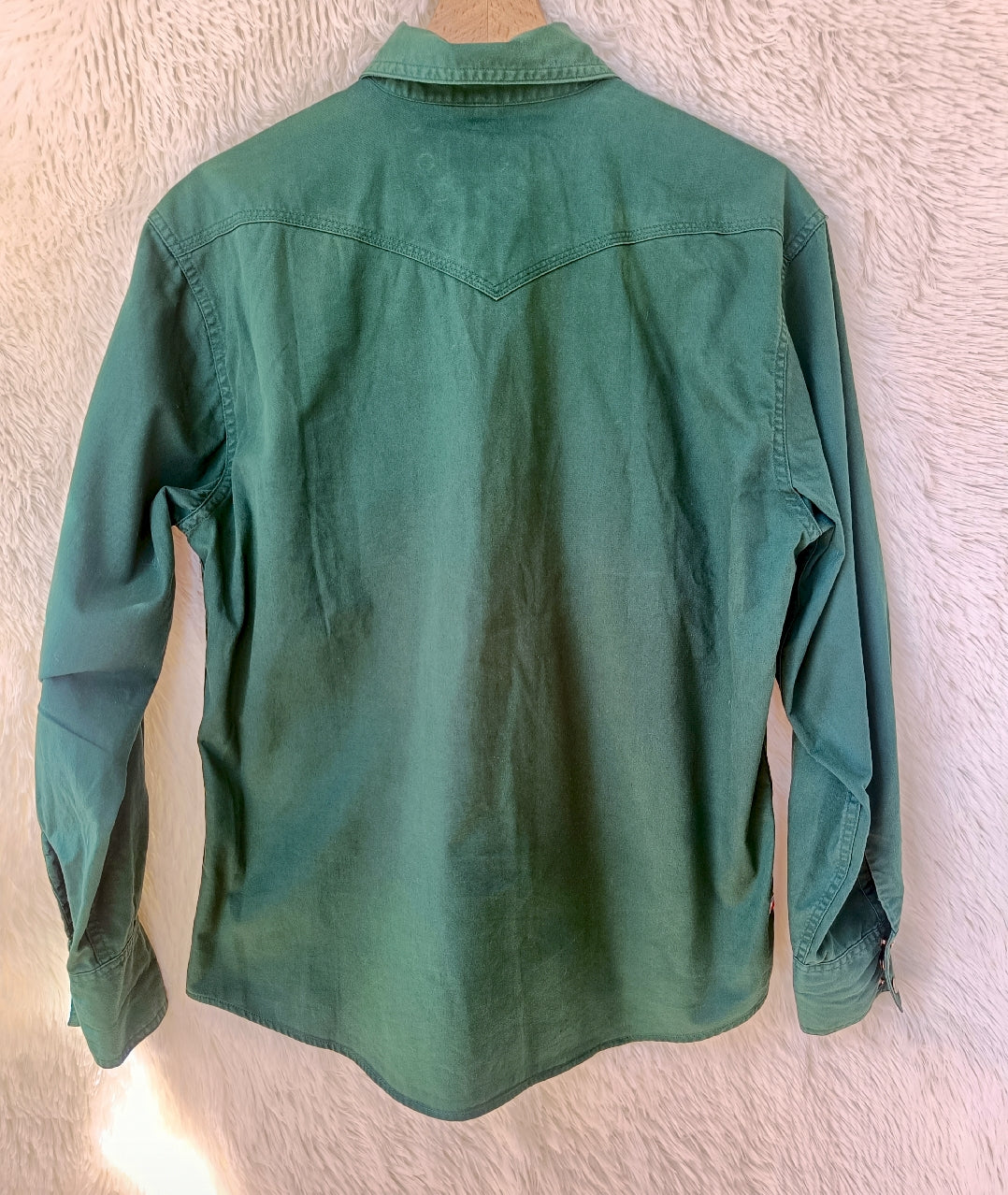 Camicia pluto verde