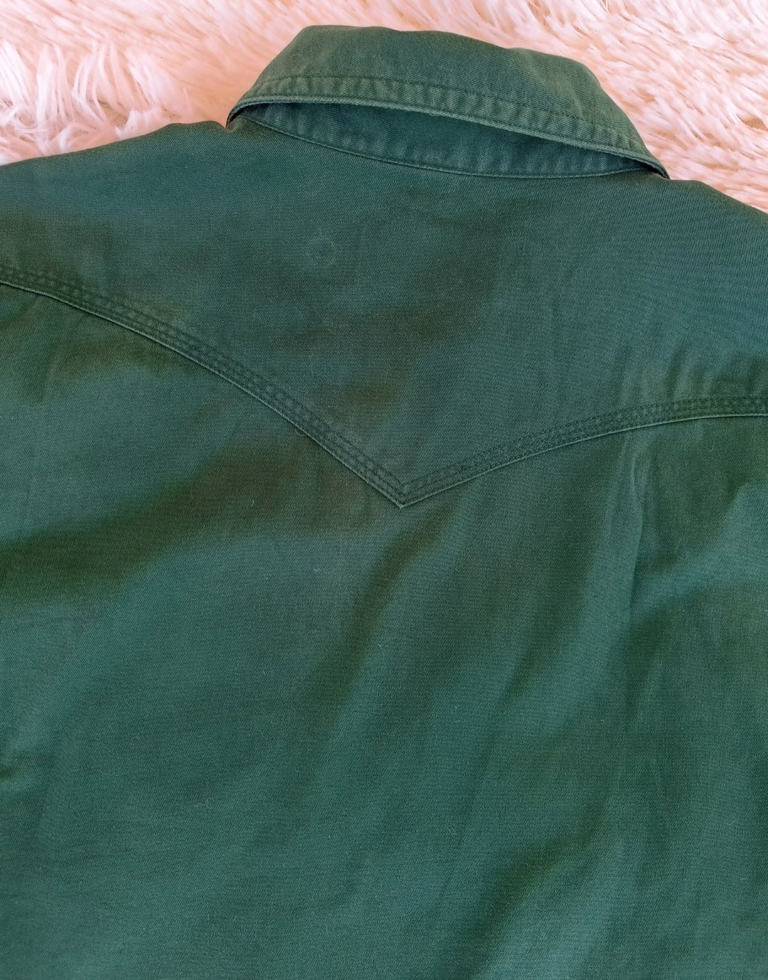 Camicia pluto verde