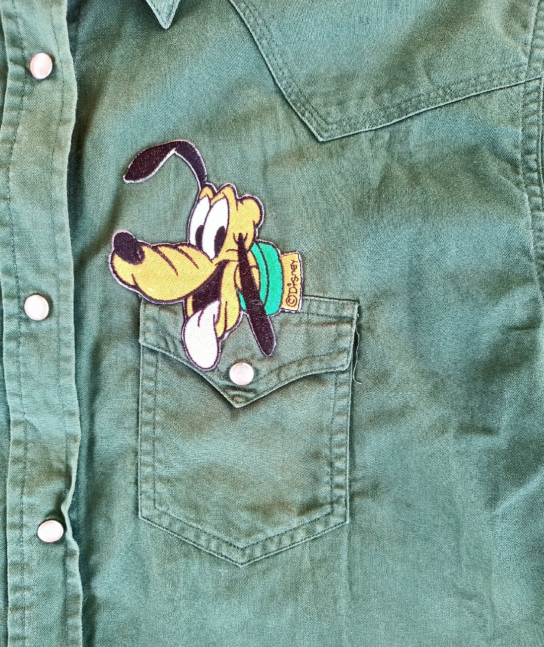 Camicia pluto verde